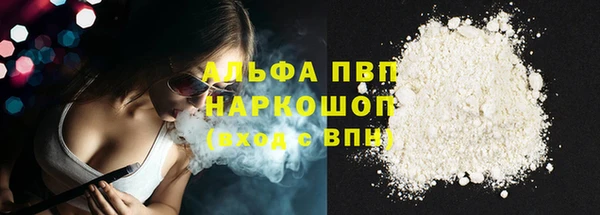 ешки Алексин