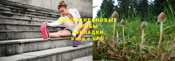 первитин Алексеевка