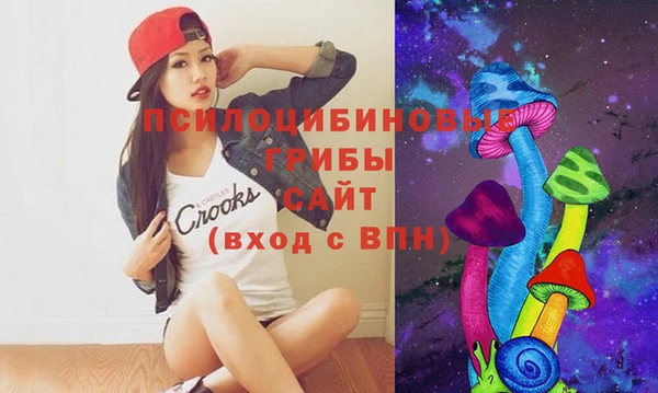 ешки Алексин