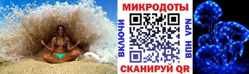 цена   Воткинск  Галлюциногенные грибы Psilocybine cubensis 