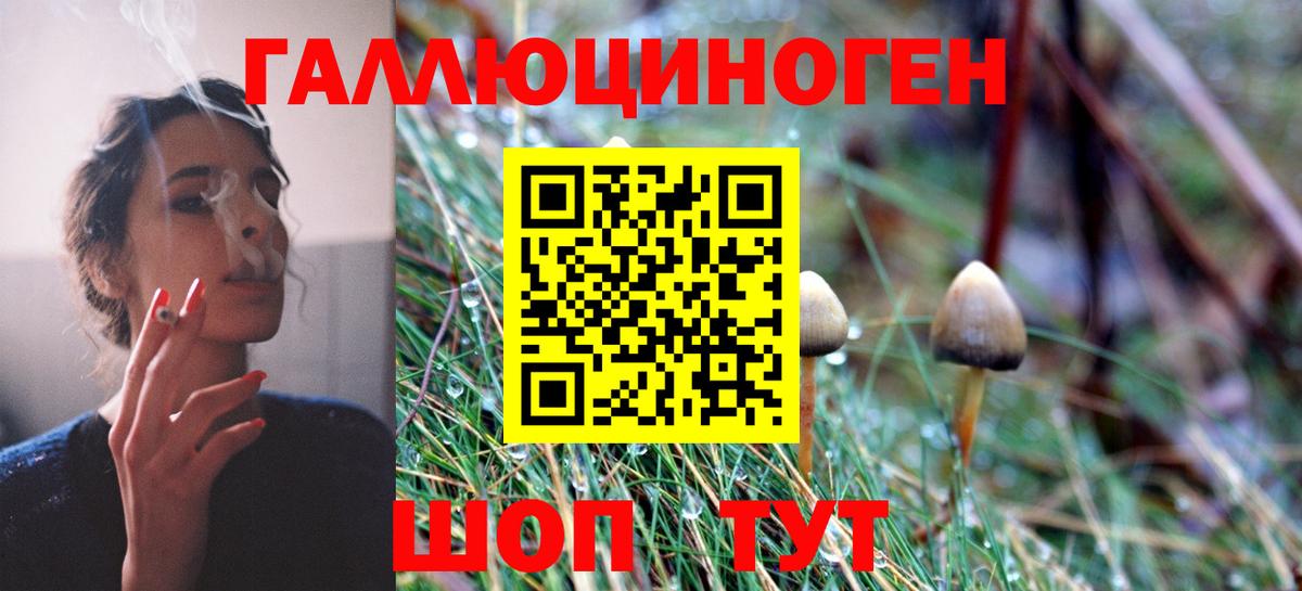 Галлюциногенные грибы Psilocybe Воткинск